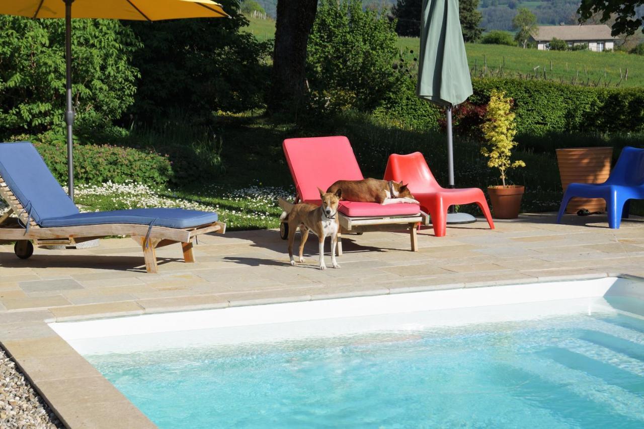 Bed and Breakfast Domaine De Saint Loth' Экстерьер фото